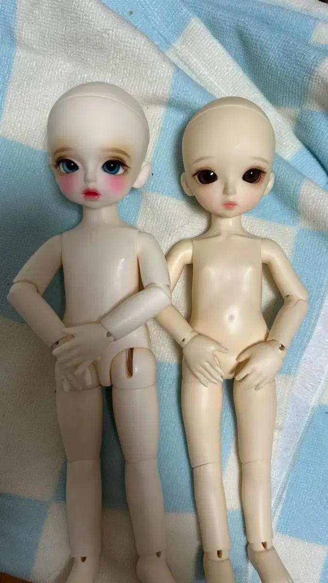 치카피, 리나슈슈 usd 구체관절 인형 구관 블루메 가발 드레스