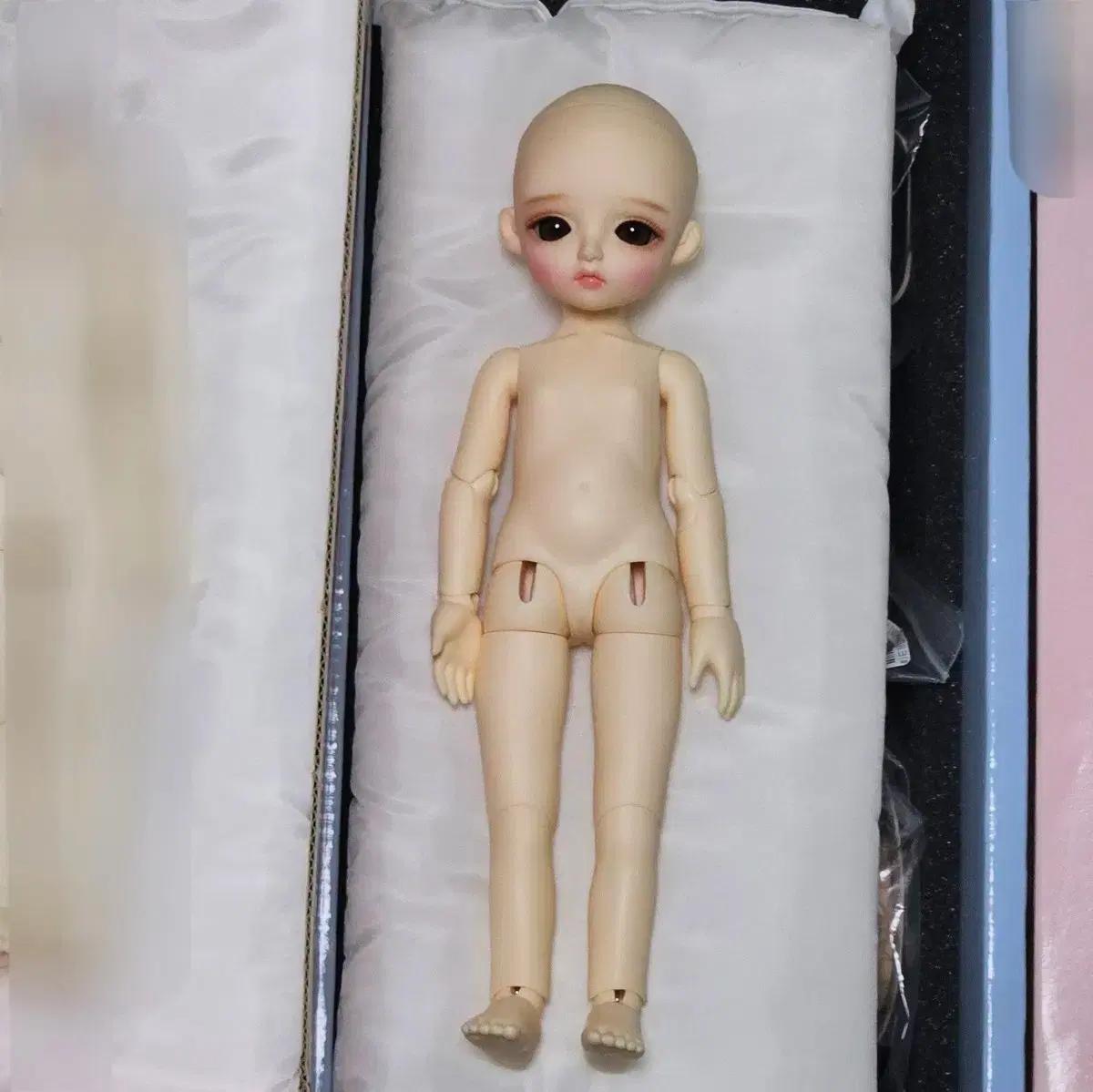 구체관절인형 구관 USD 리나슈슈 노멀 클로에 양도합니다