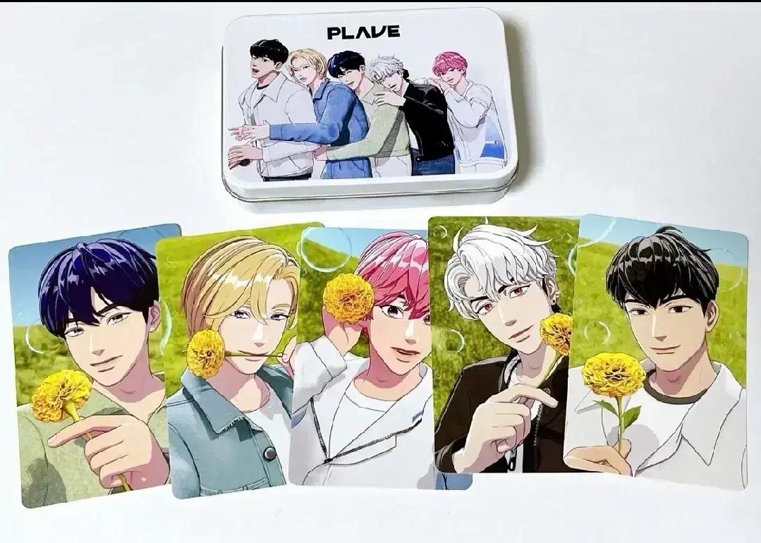 플레이브 메디힐 포카 틴케이스 일괄 포토카드 Plave Mediheal