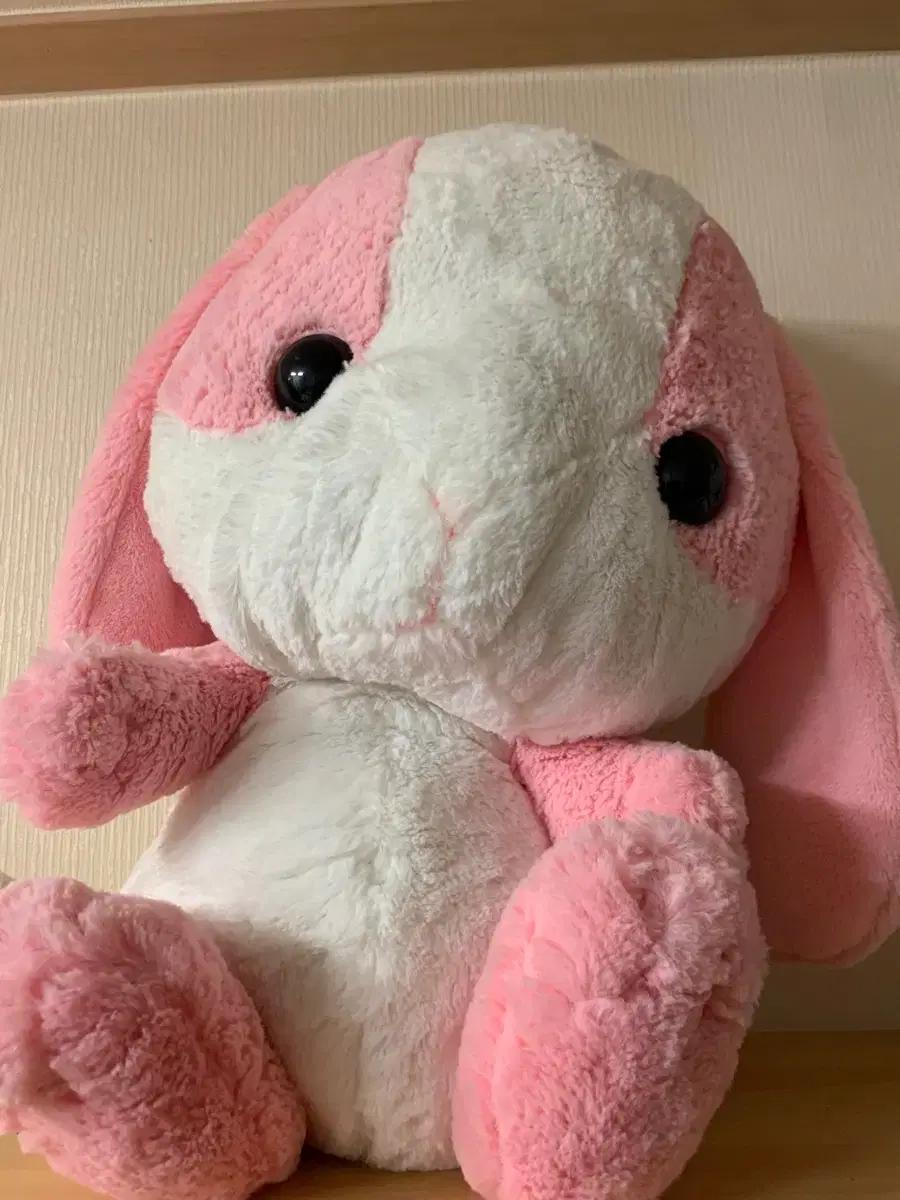 어뮤즈 토끼 롯삐 인형 일본 정품 어뮤즈 토끼 롯삐 코론 인형 팝니다