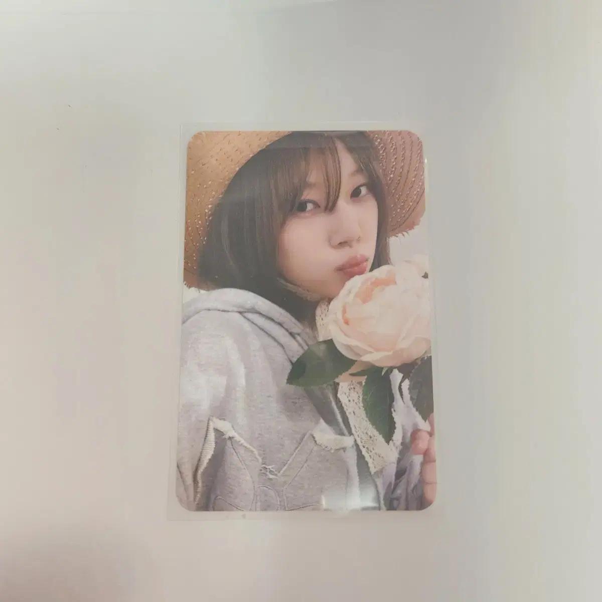 유니스 코토코 미공포 멬스 포카