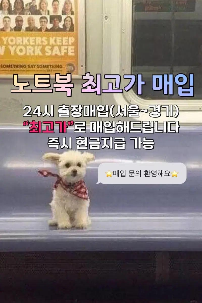 [최고가매입] 미개봉 LG그램 갤럭시북 맥북 기업용 대량매입 게이밍 노트