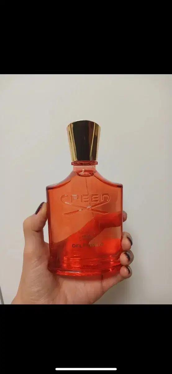 택포 크리드 델피던스 100ml edp 미개봉새상품