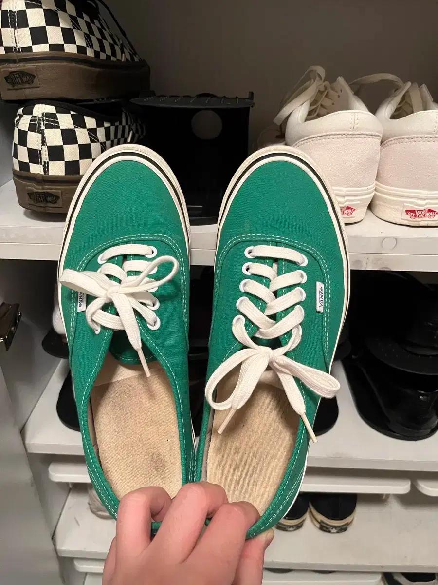 반스 어센틱 그린 270