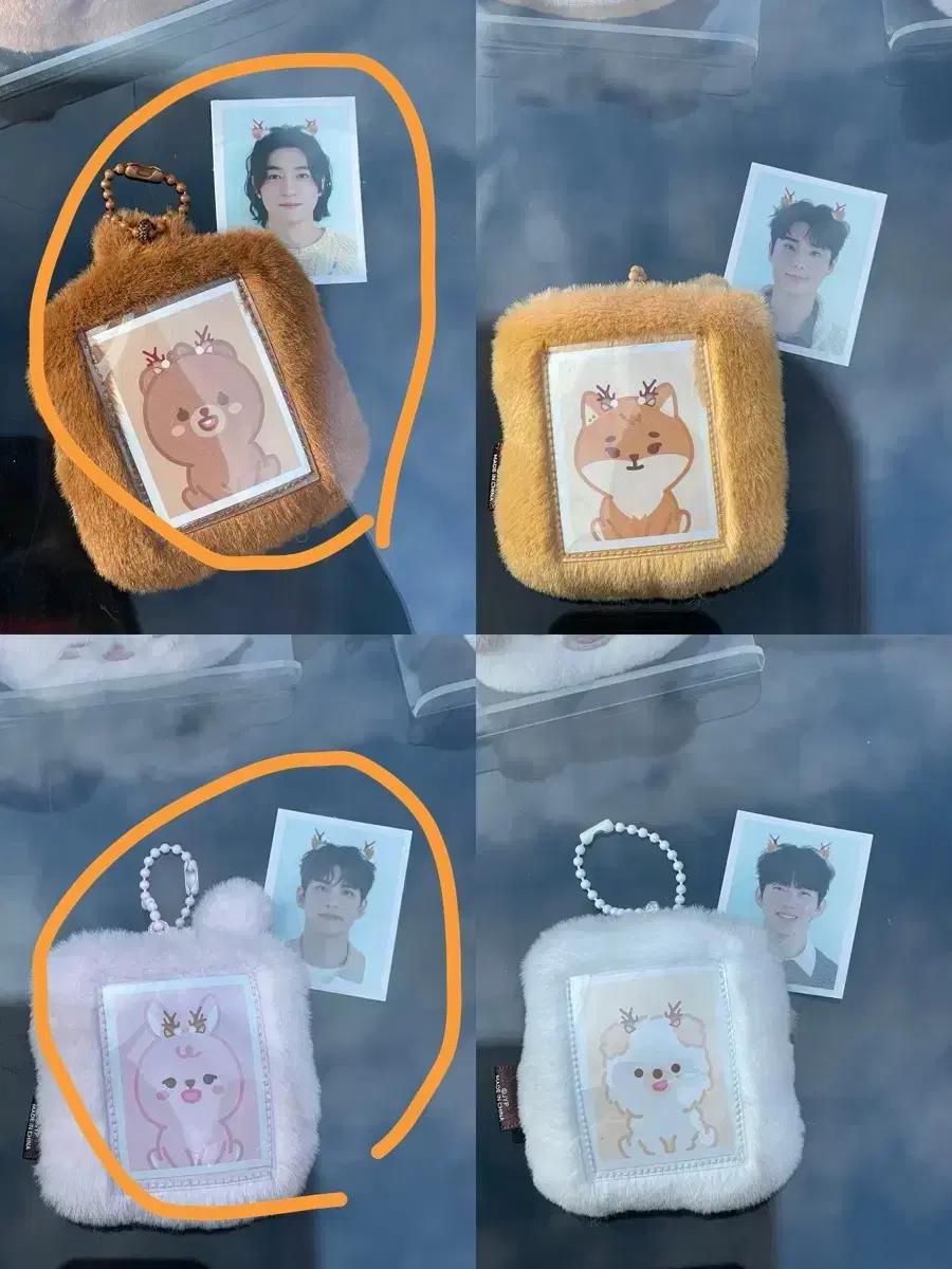 데이식스 데니멀즈 ID포토홀더 방 필