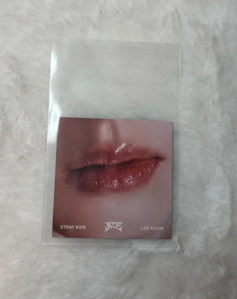 스키즈 에이트 ate 아코디언 립카드