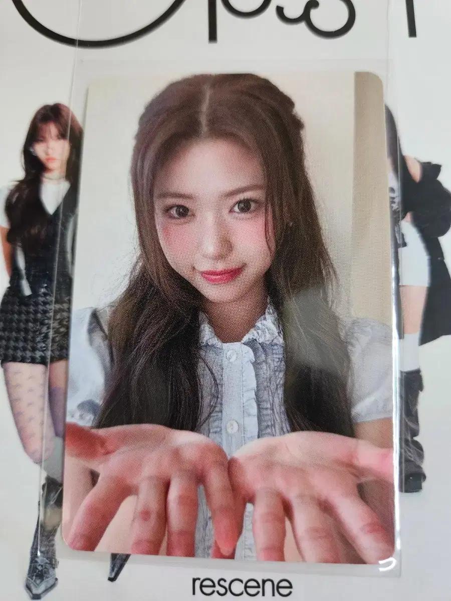 리센느 제나 공방 포카 양도
