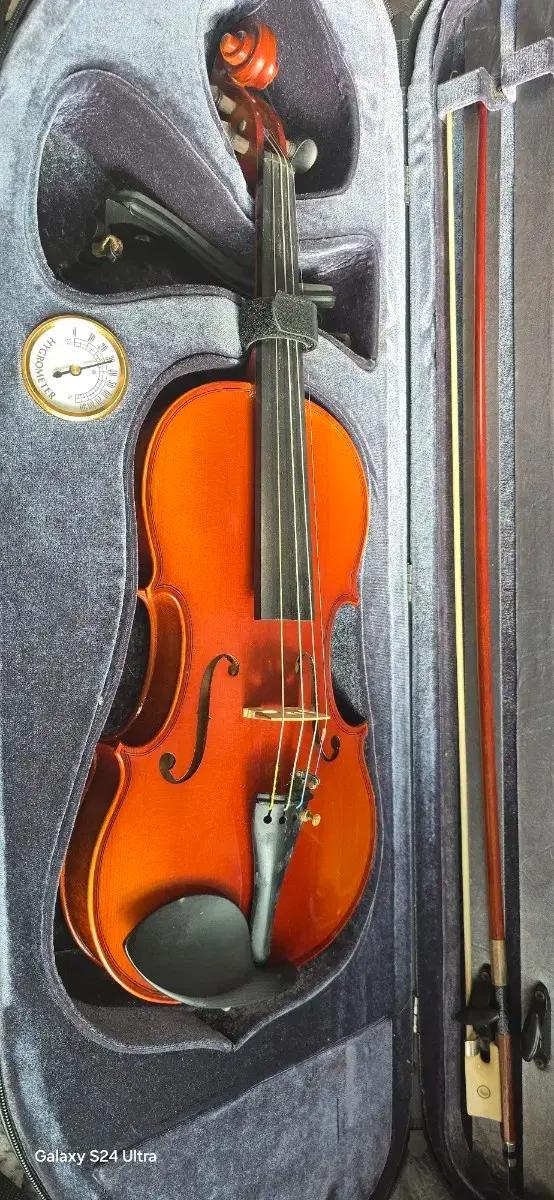 독일 Rodenich Paesold 바이올린