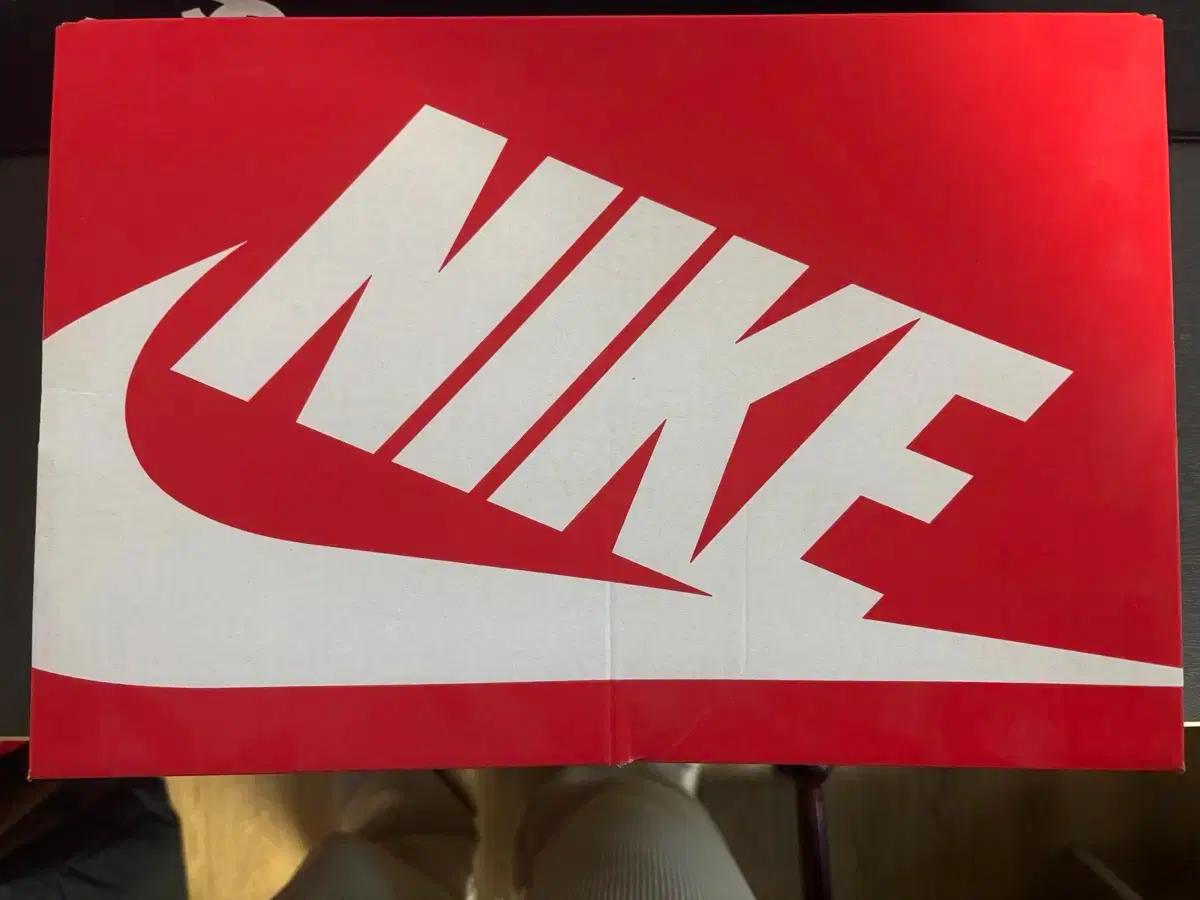 나이키 에어맥스 Air Max AP 팬텀 (CU4826 004) 신발 팝