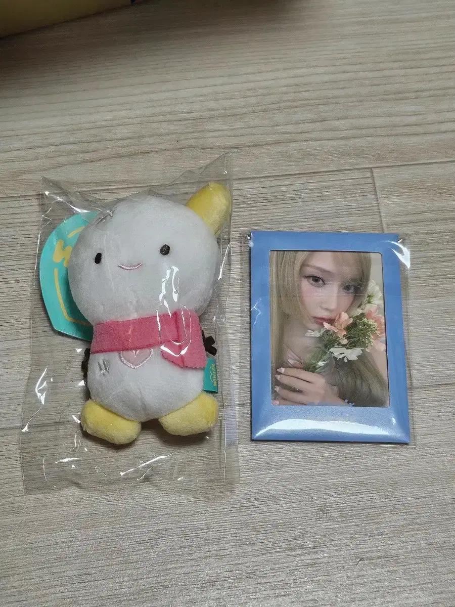윈터 뭉탱이, 에스쁘아 윈터 포카