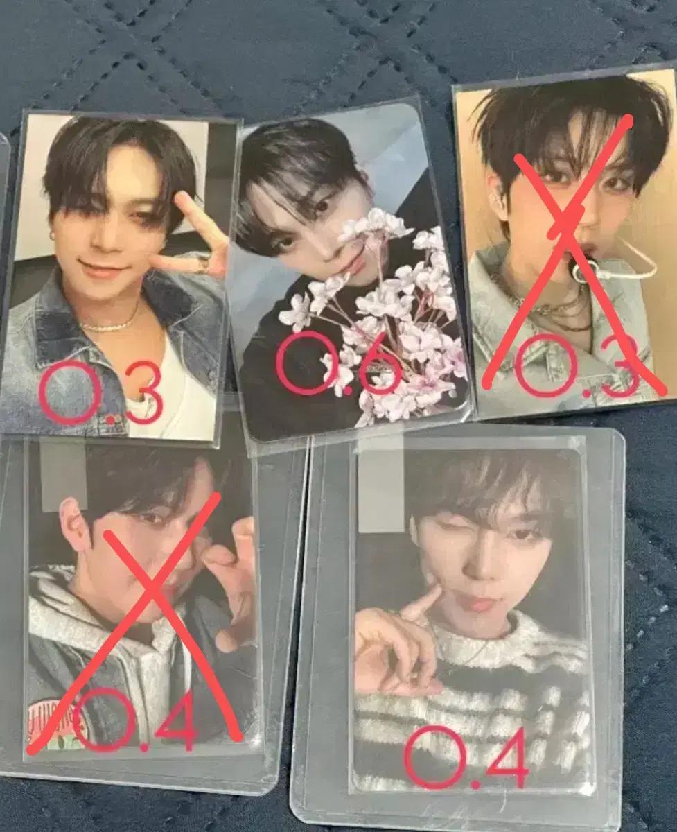 bae173 포카 준서 영서 프로젝트7