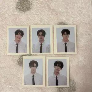 컬러그램 제베원 증사 띠부띠부씰 한유진 박건욱 리키 매튜 지웅