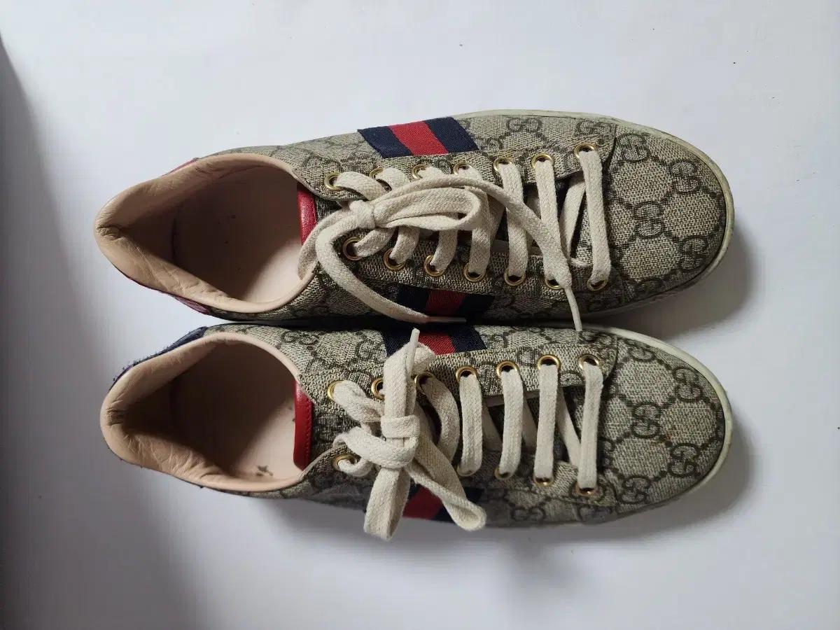 구찌 gg 수프림 에이스 스니커즈 36.5 240추천