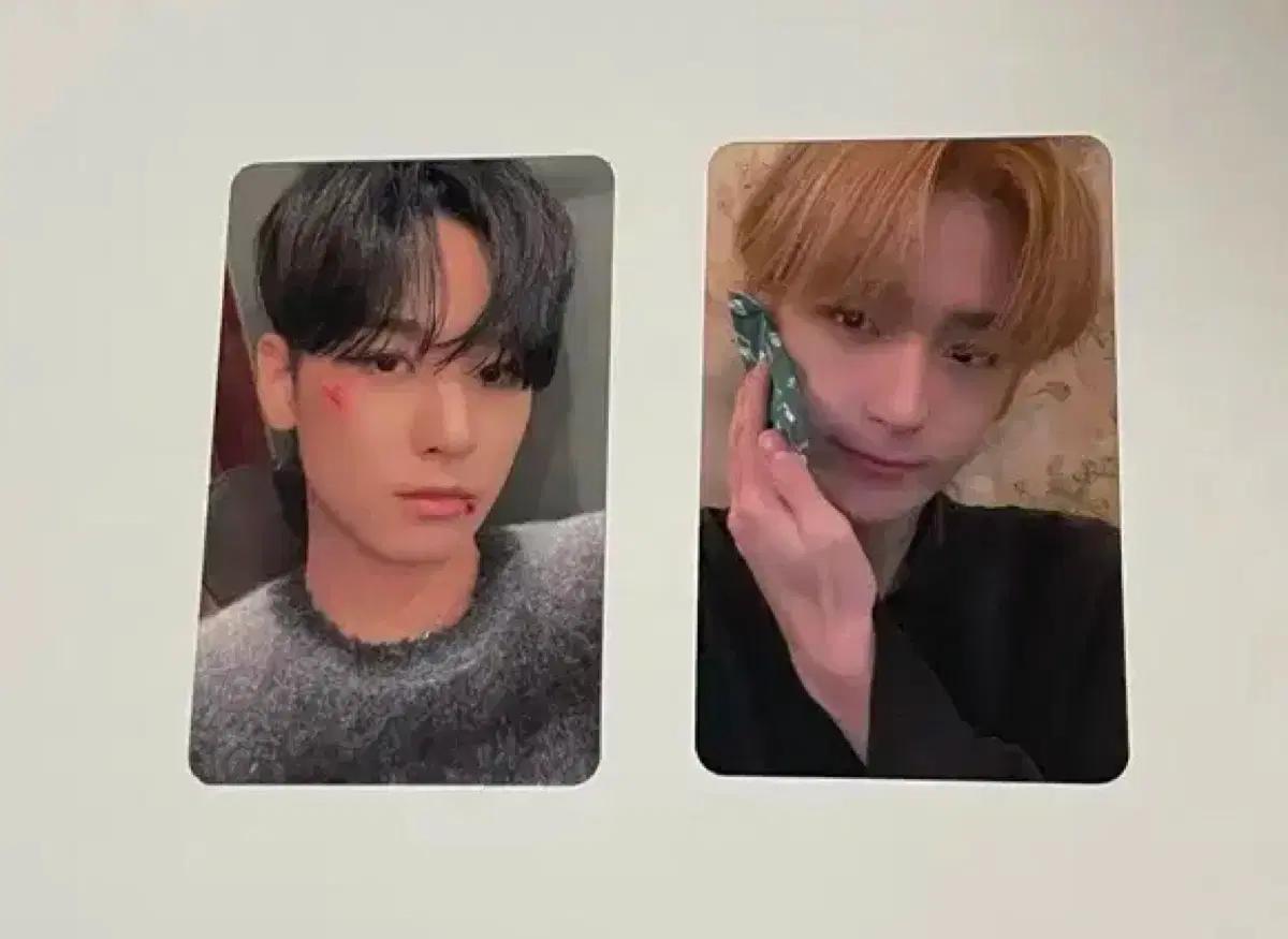 더보이즈 주연 현재 roar 플랫폼 포카 양도