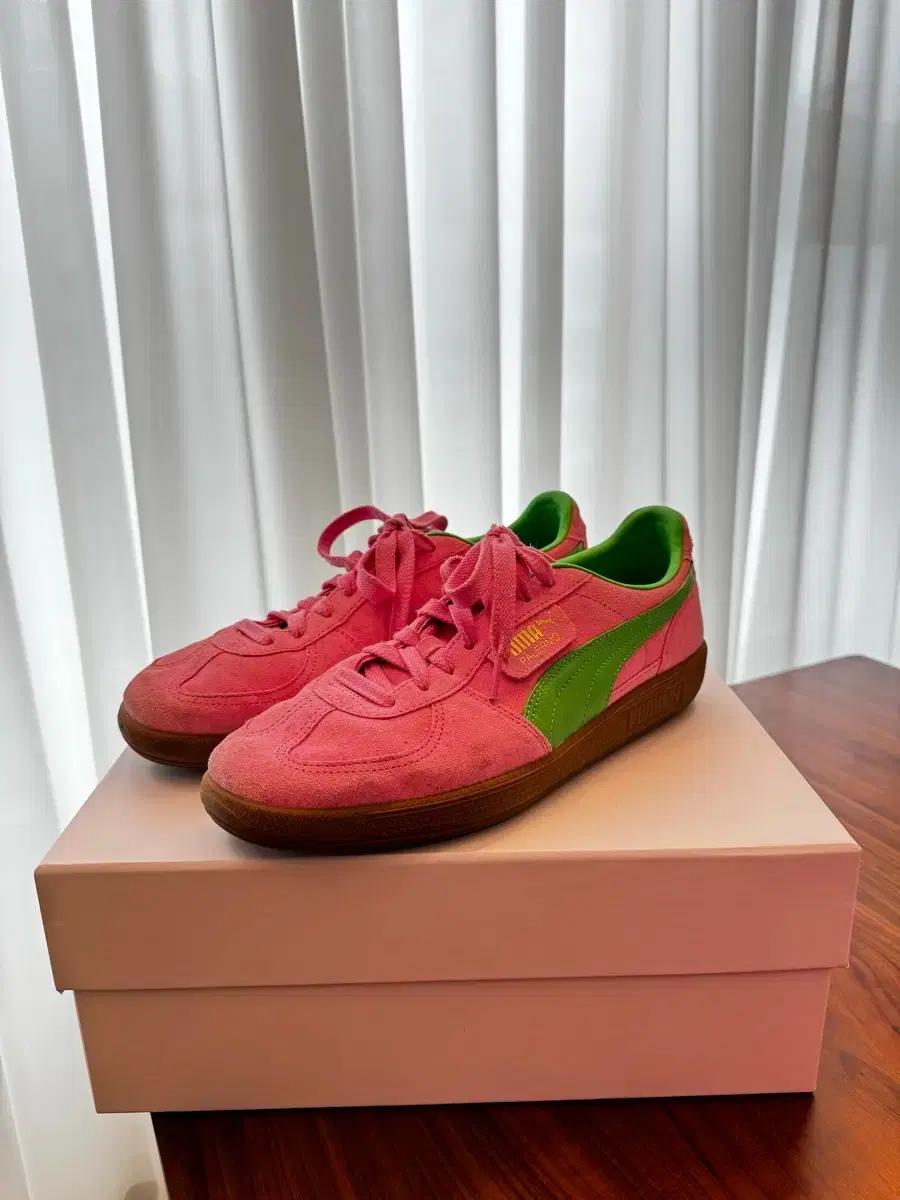 Puma palermo pink 푸마 파레르모 핑크
