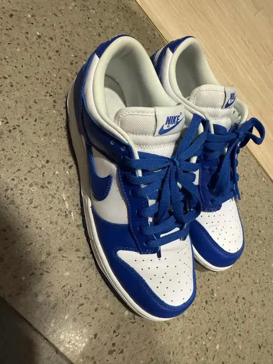 Nike Dunk Low SP Kentucky 2022 270size