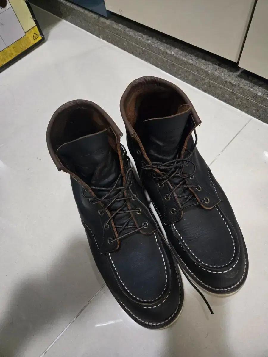 레드윙 8849 10.5d