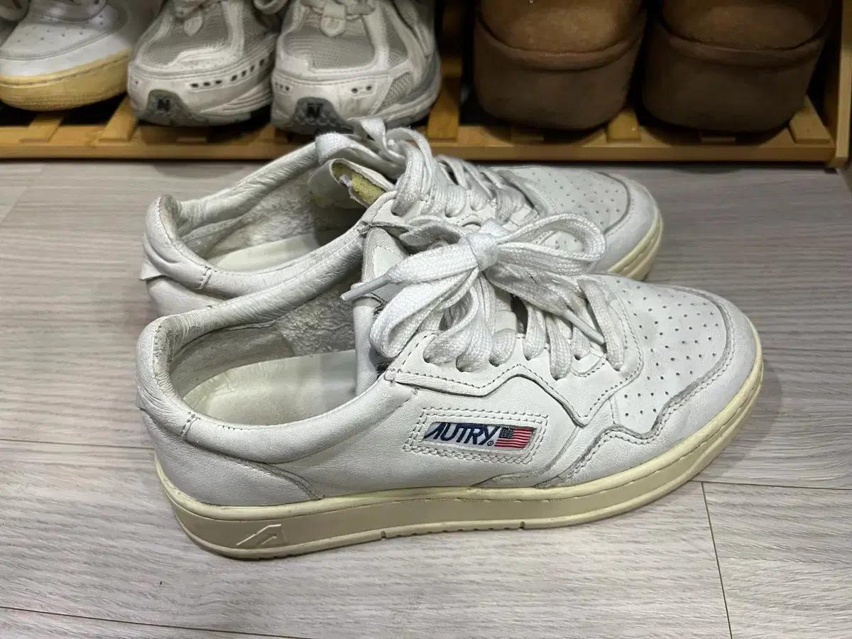 오트리 240