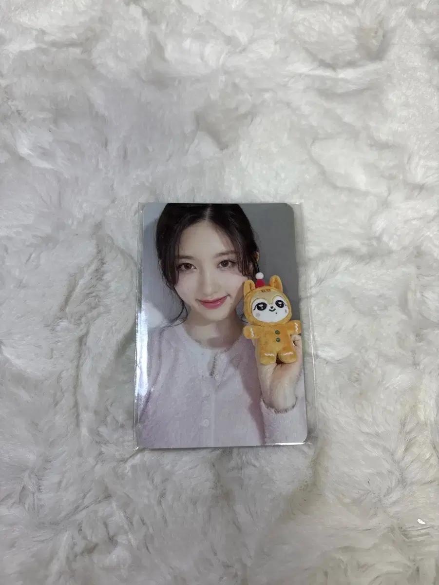 아이브 미니브 가을포카