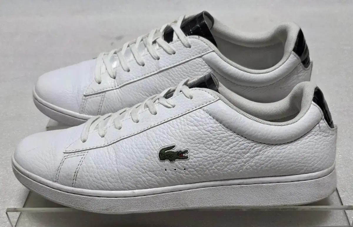 라코스테 LACOSTE 가죽 스니커즈 남성용 270