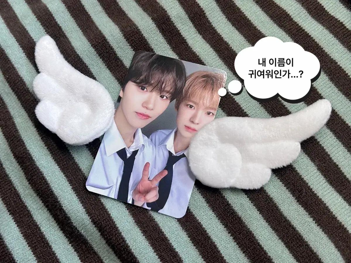 날개 브로치 날개핀 핀버튼 위시코어 엔젤코어 엔시티위시 NCT WISH