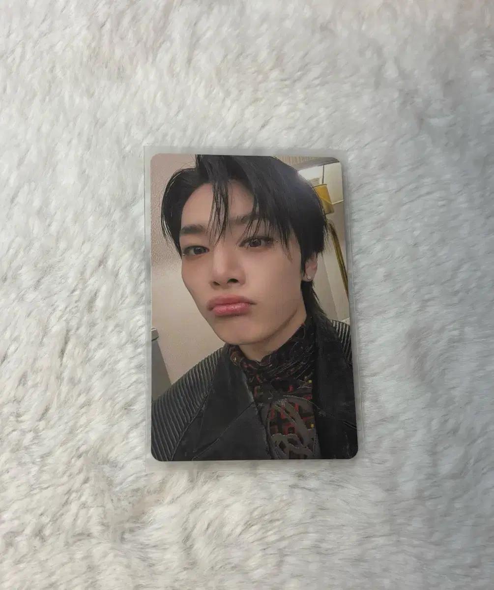 스키즈 일본 오사카 회장한정 포카