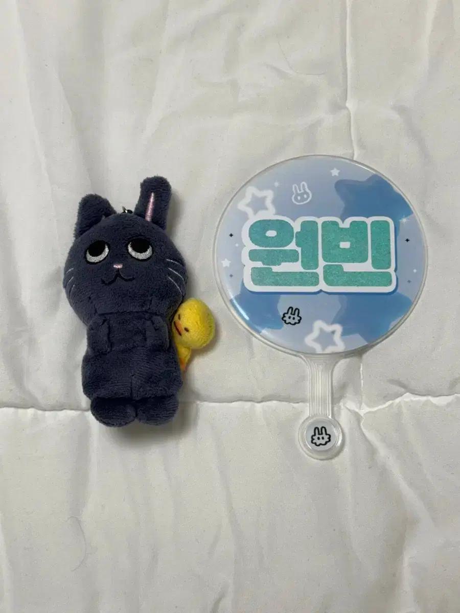 라이즈 원빈 미니 우치와 비공굿 + 라이즈 백일잔치 응원봉