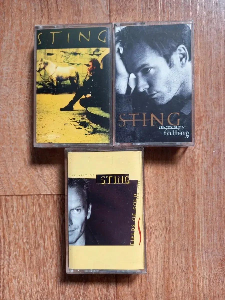 sting cd 일본반 카세트테이프