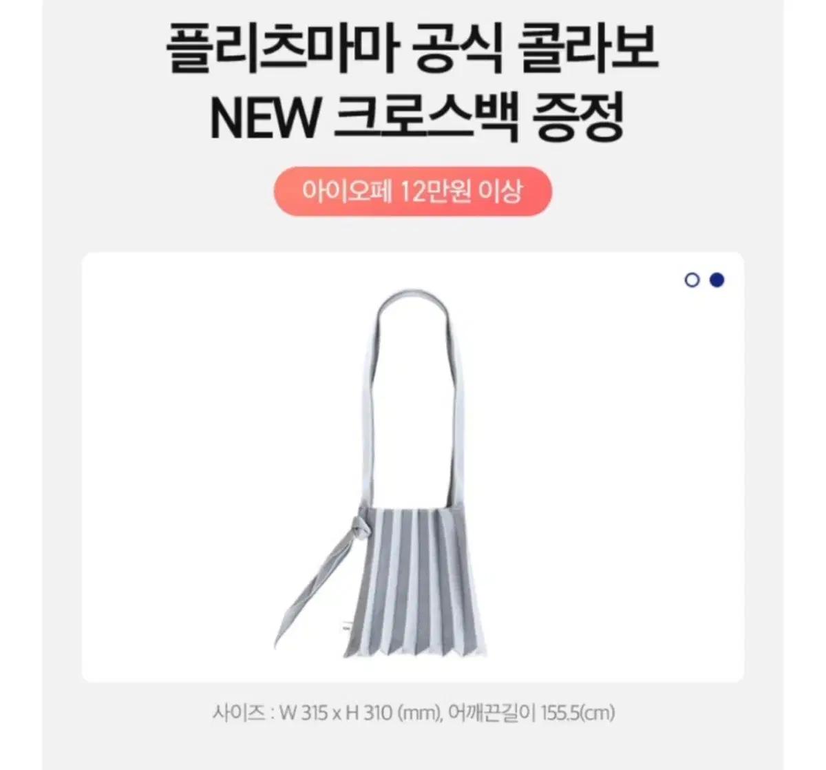 아이오페 X 플리츠마마 숄더백(실버)