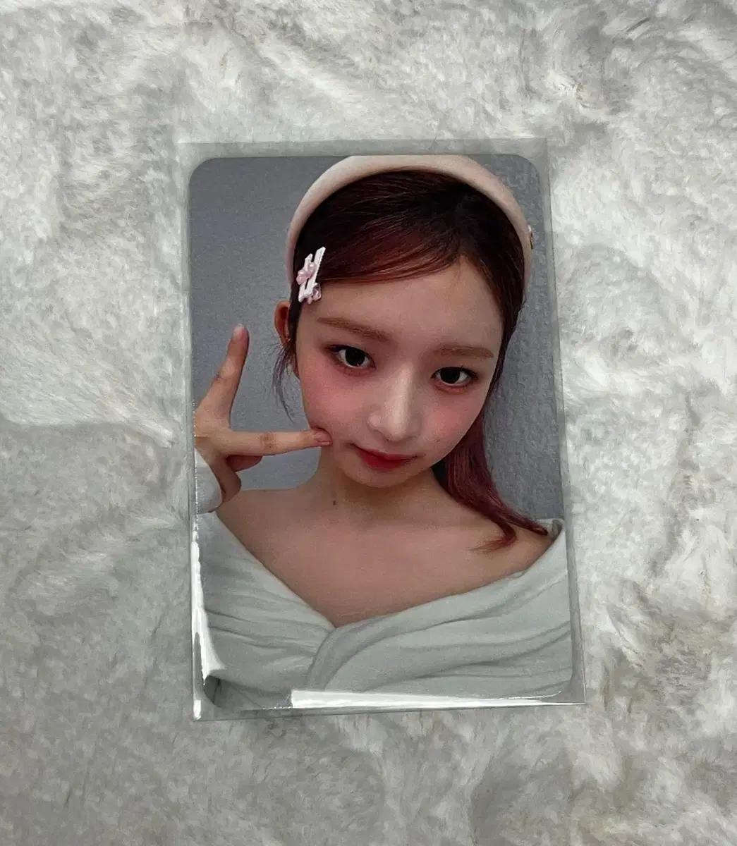 아이브 2024 시그 레이 특전 포카 판매 양도