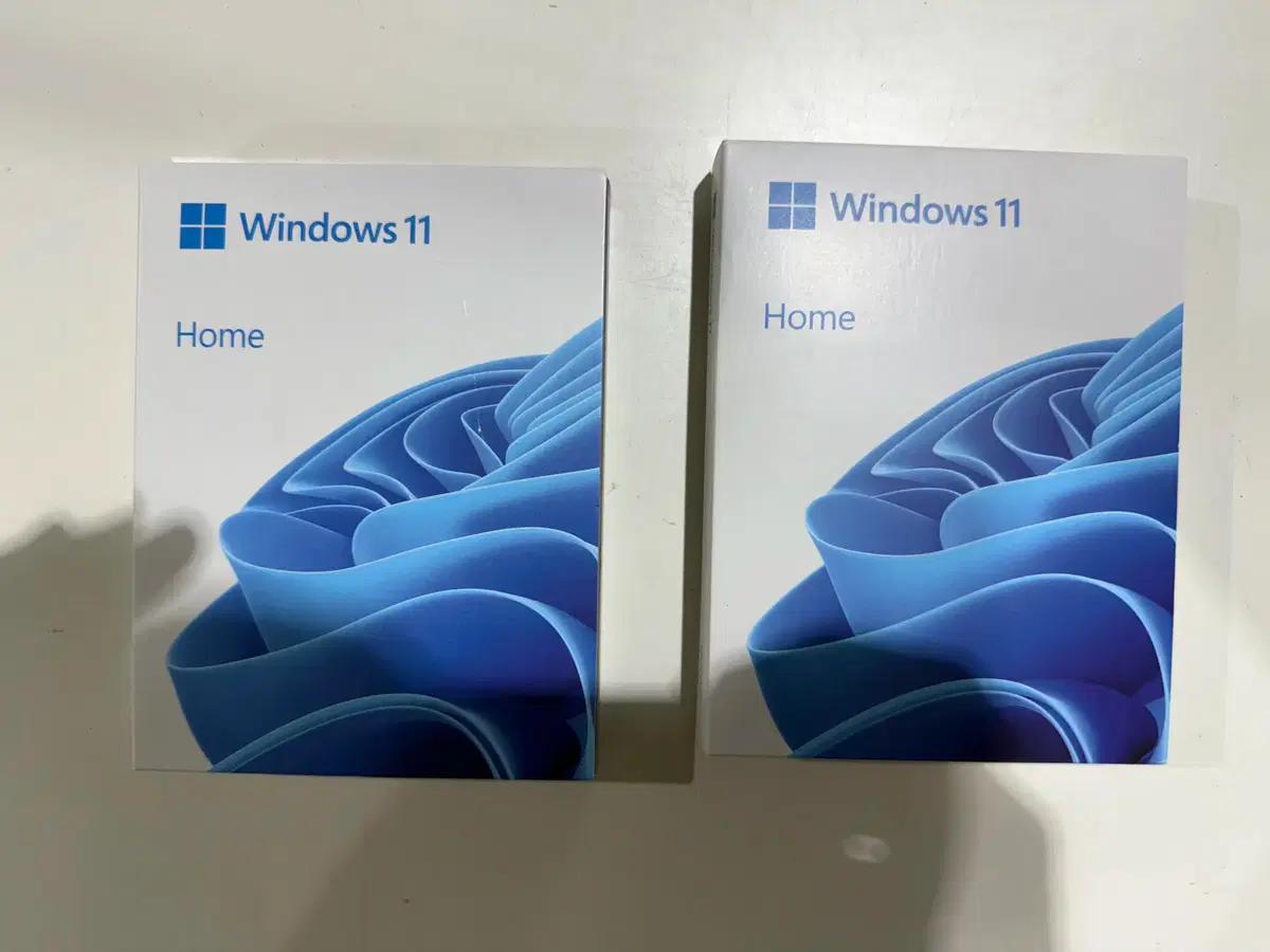 마이크로소프트 Windows 11 Home