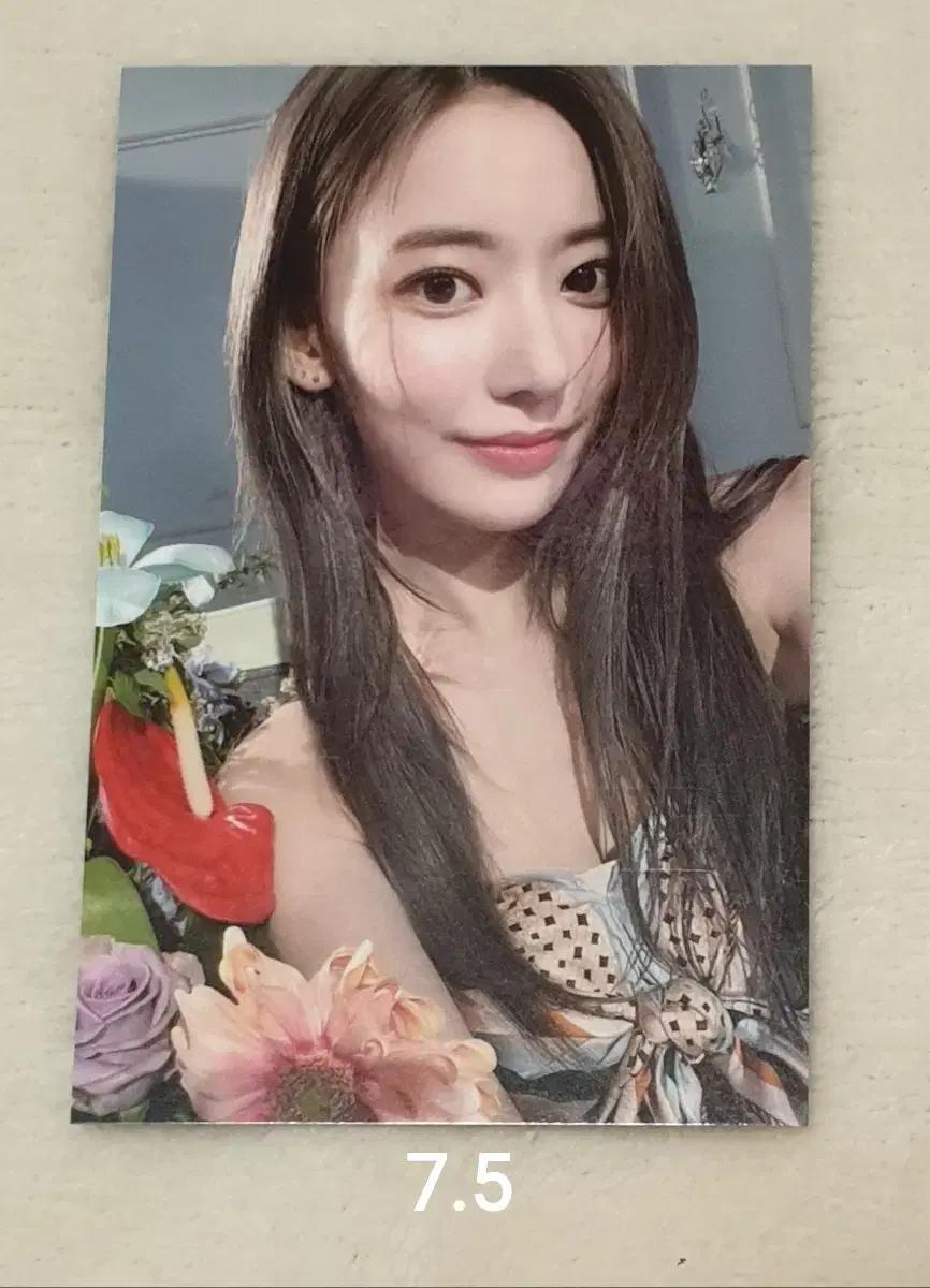 르세라핌 LE SSERAFIM 사쿠라 SAKURA 데뷔 쇼케이스
