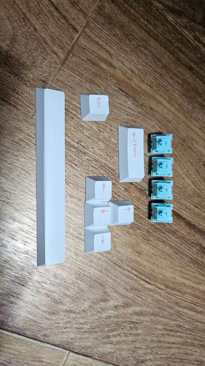 AULA 독거미 축과 키캡팝니다