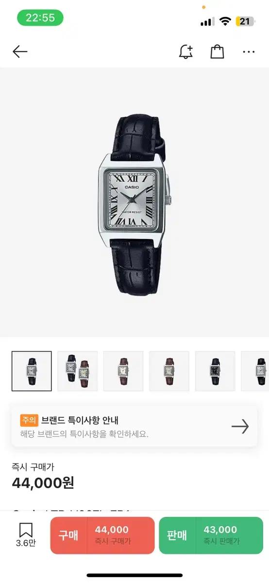 카시오 시계