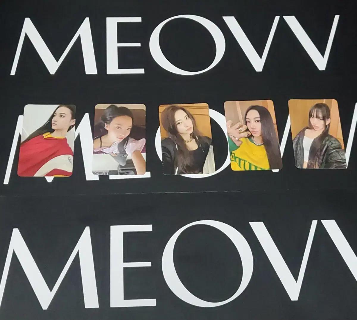 미야오 팝업 MD 포토카드