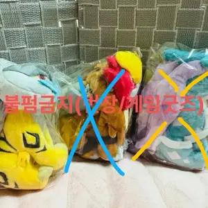 [포켓몬스터] 포켓몬센터 정품 FIT 라이코