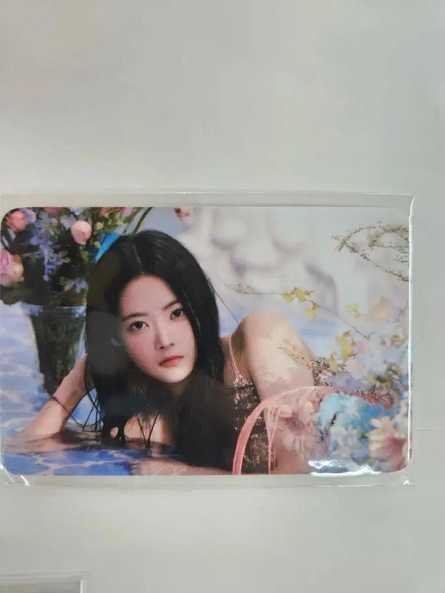 르세라핌 홍은채 위버스 특전 포카 양도