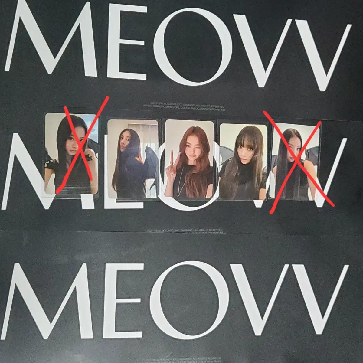 미야오 팝업스토어 MD 포카