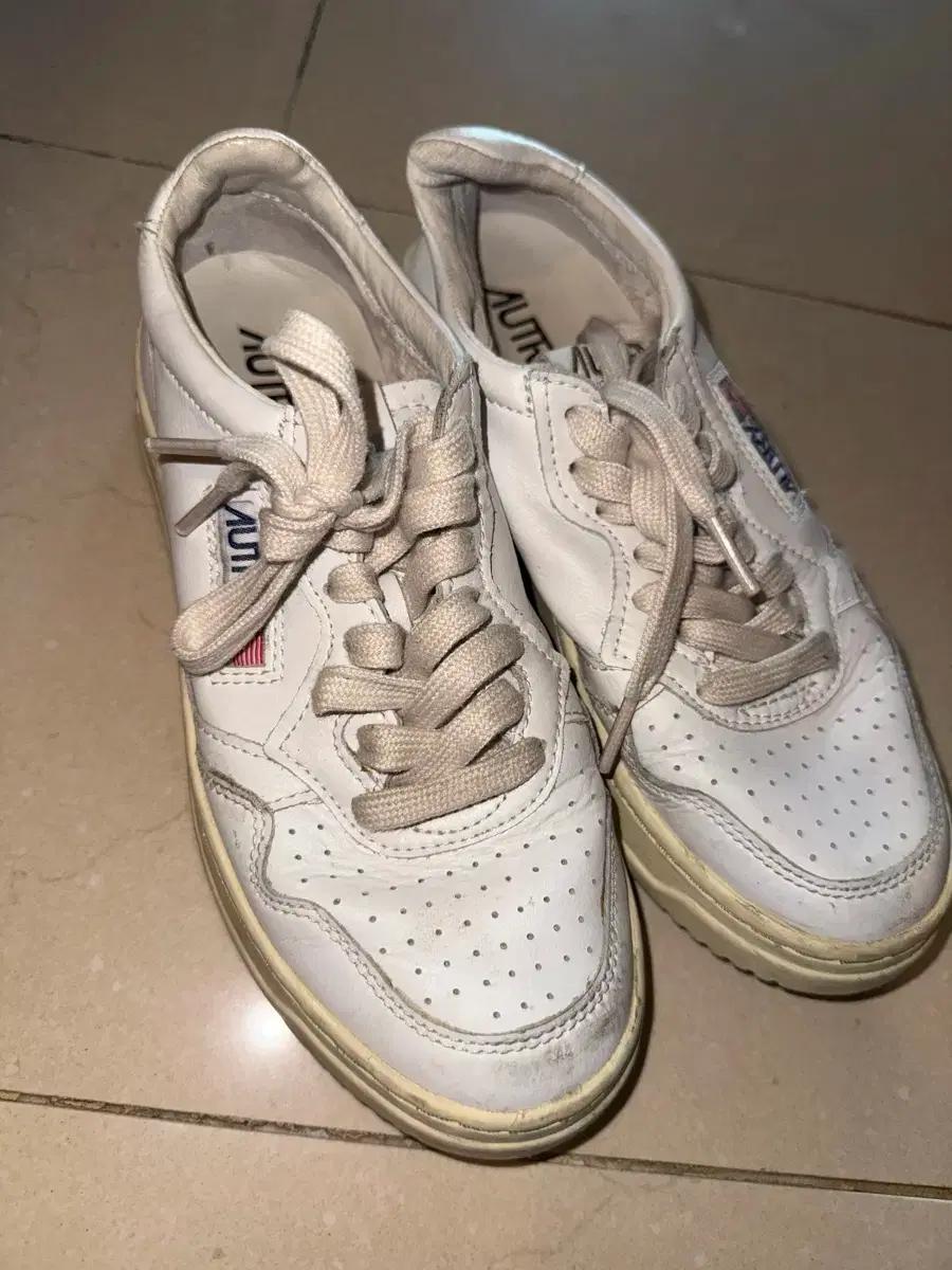 오트리 36