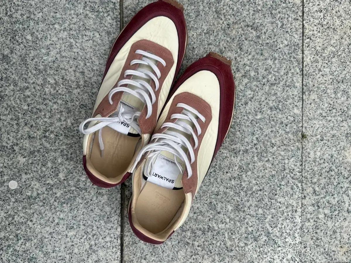 스파워트 템포 43사이즈