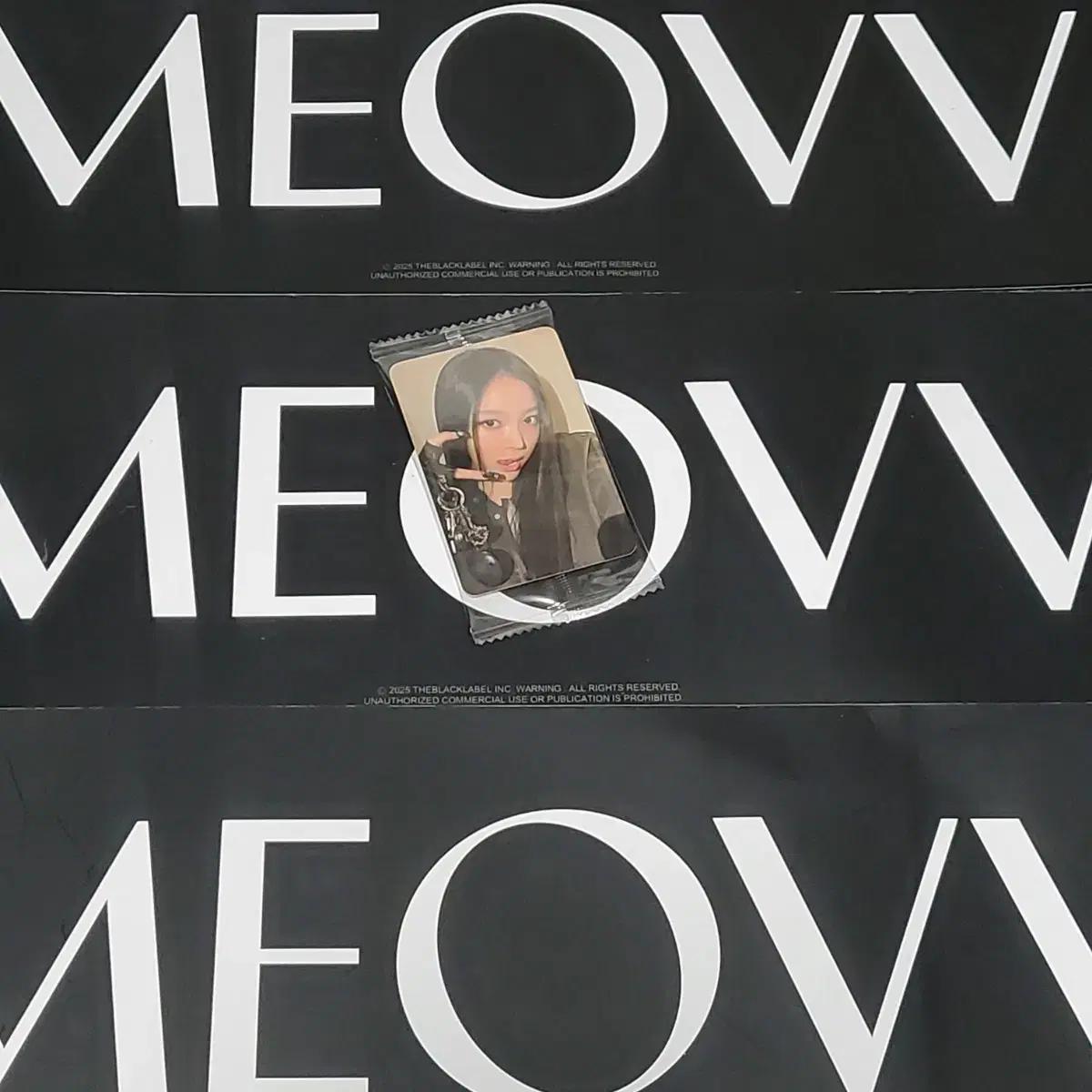 미야오 케타포 특전 포카 나린