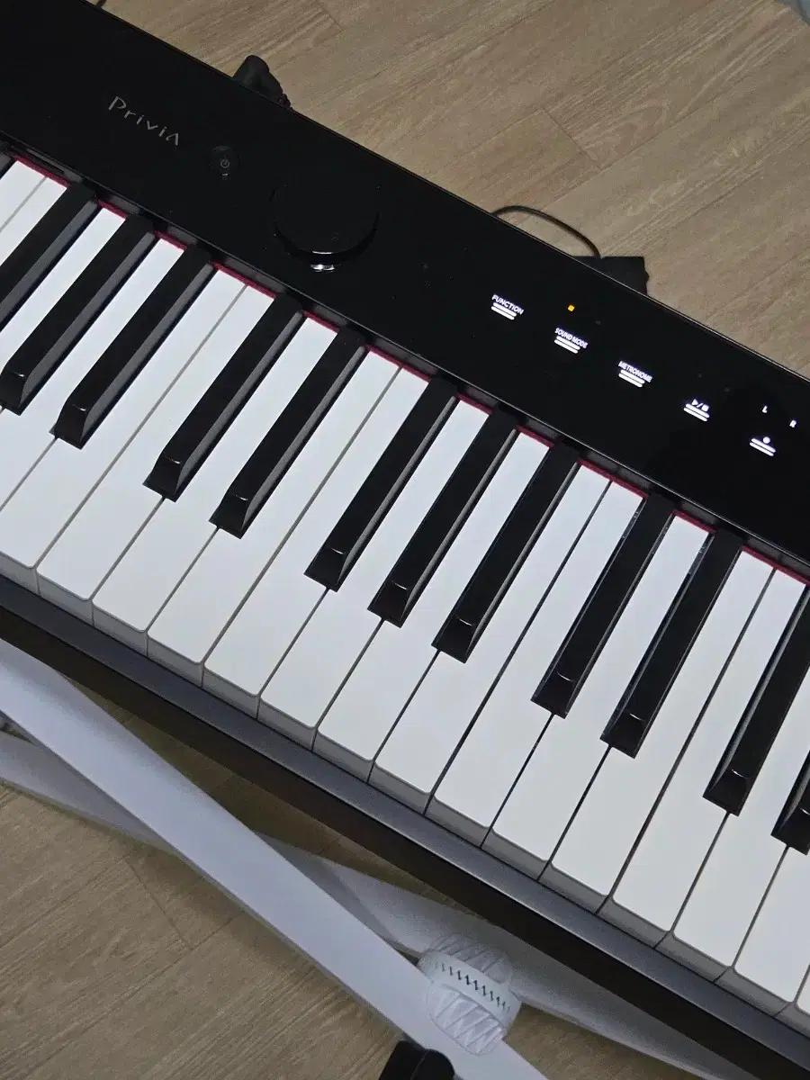 카시오 PX-S1100