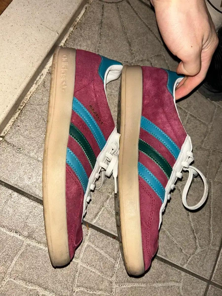 아디다스 가젤 버건디 컬리지에이트 265