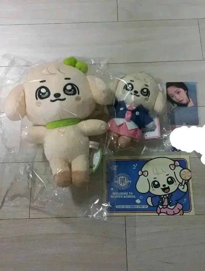 원가 일괄) 아이브 미니브 강안지 오리지널, 스쿨, 7만원 포카, 특전