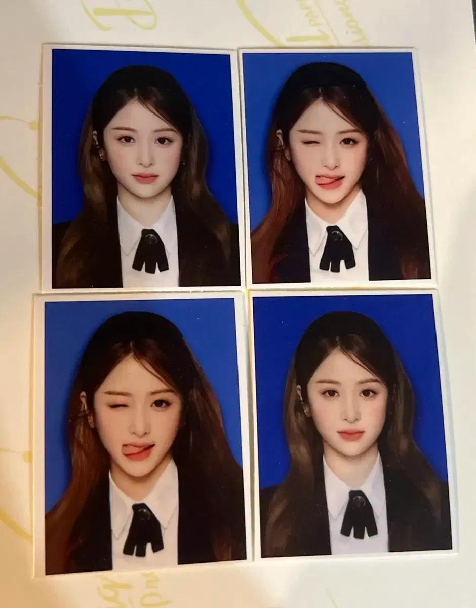 르세라핌 증사 채원윤진사쿠라은채카즈하포카