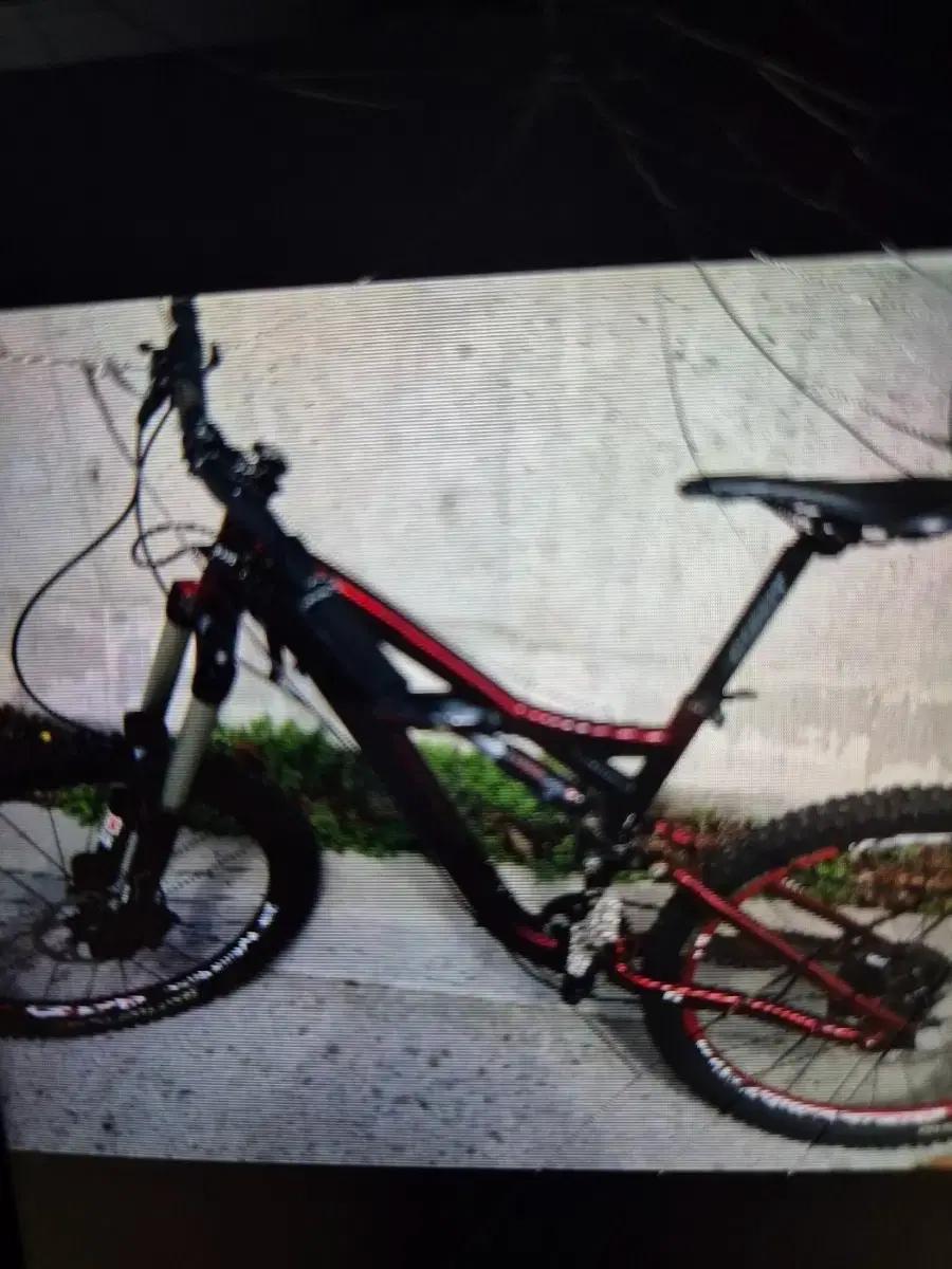 spelialitfo