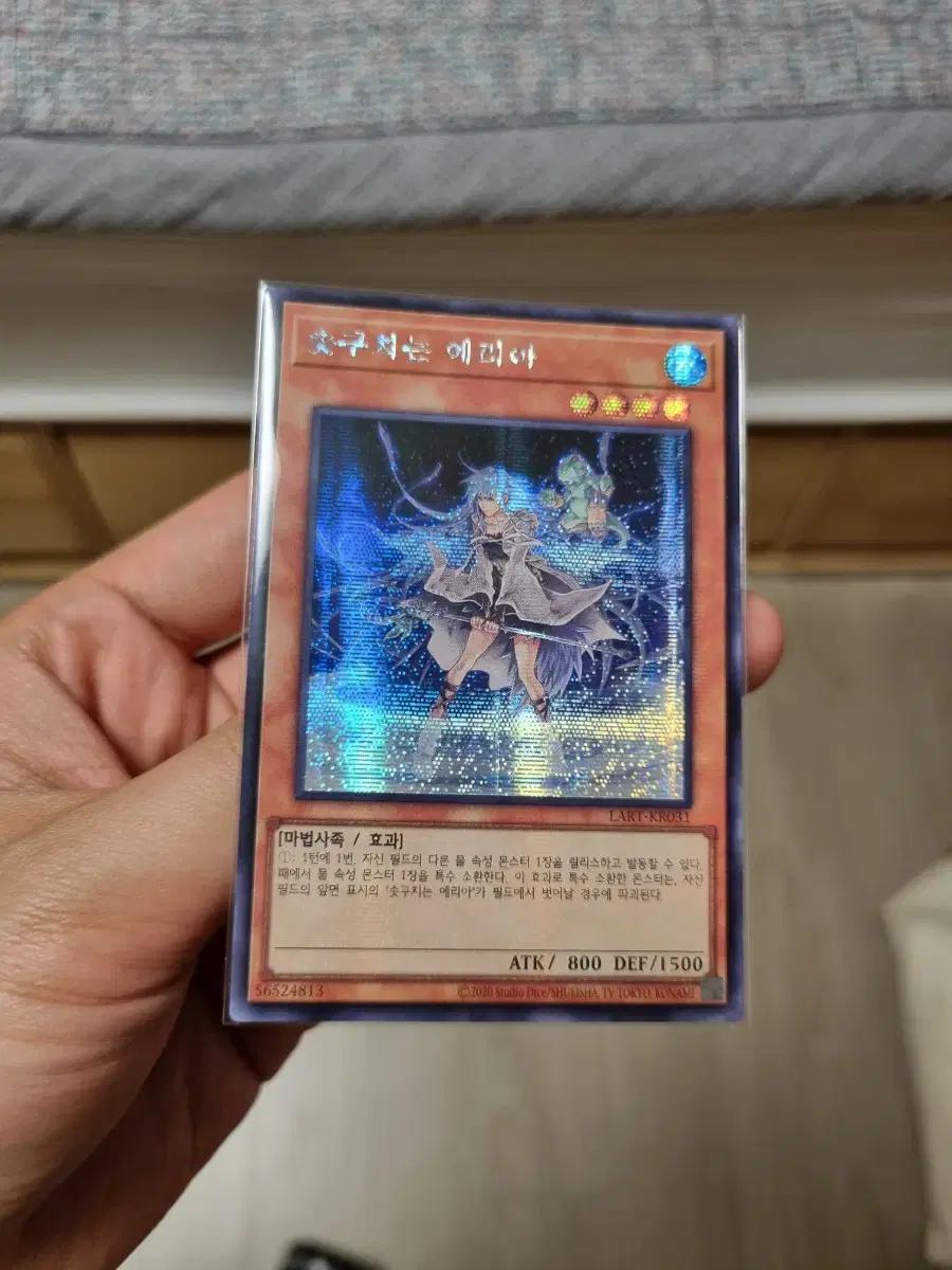 유희왕 로스트아트 시크 솟구치는 에리아 로아싴
