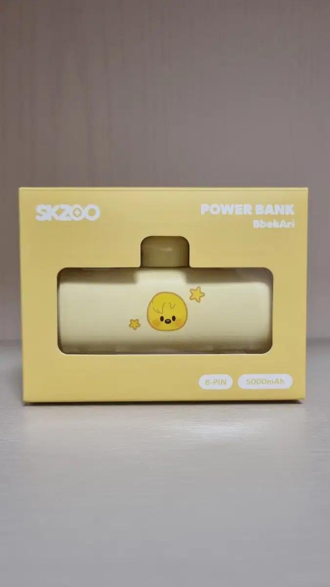 스키즈 보조배터리