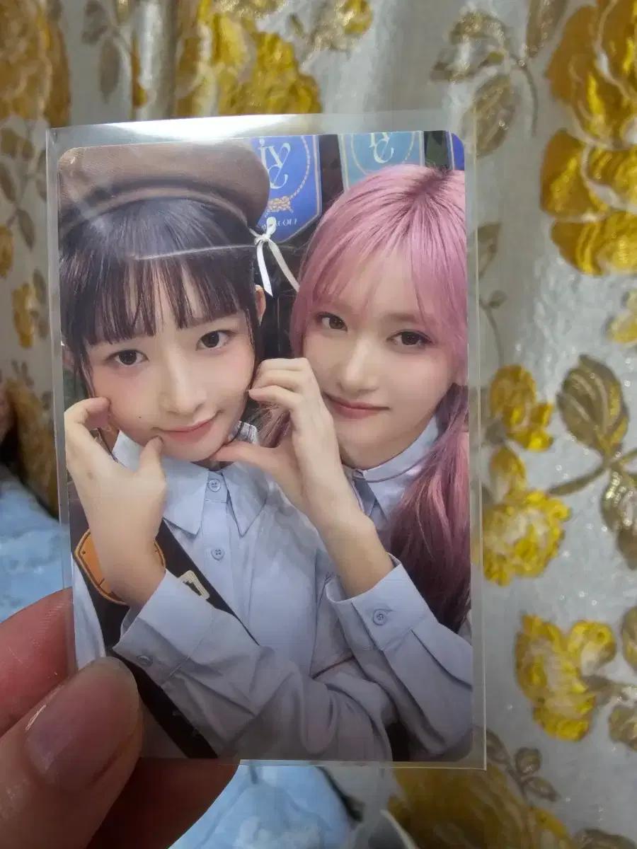 아이브 랜덤팩 포카 레이&이서 양도합니다