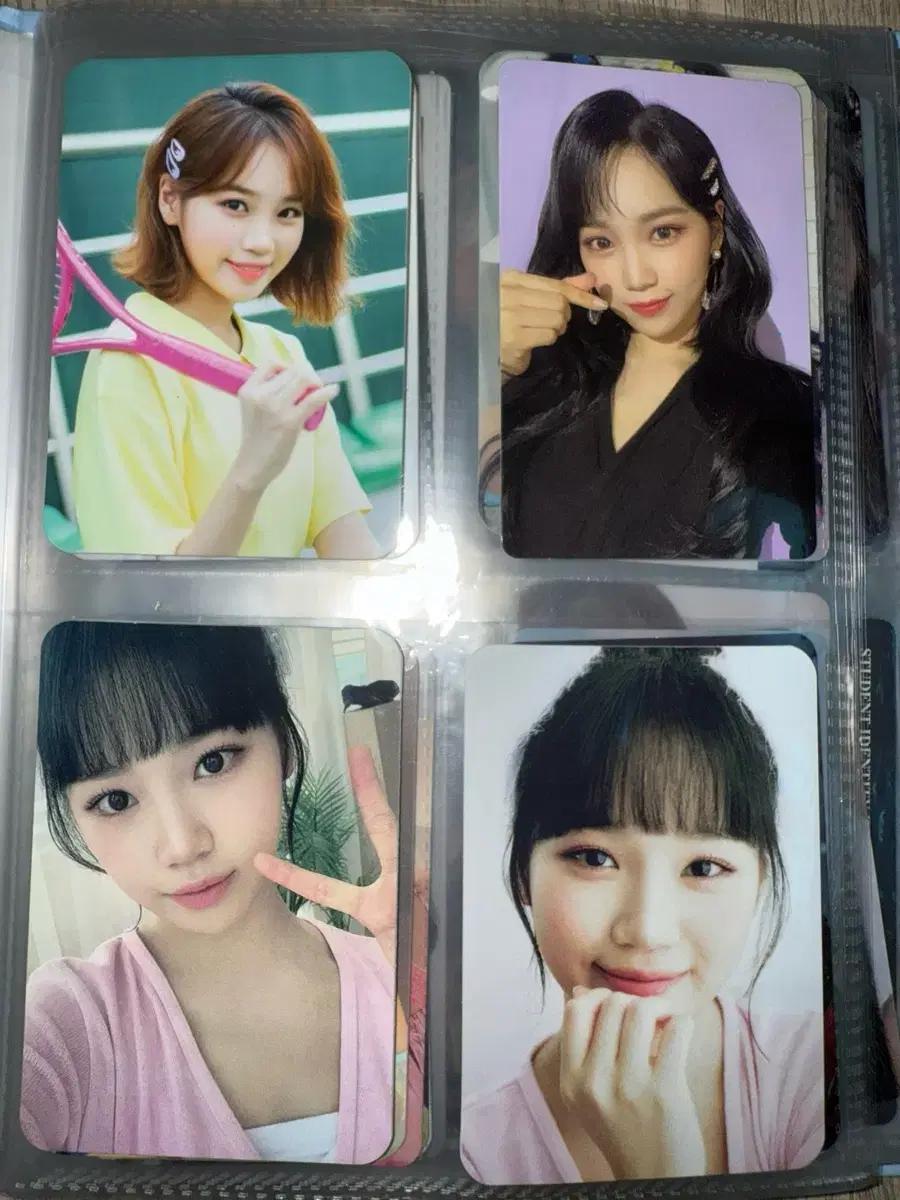 김채원 포카, 디아이콘, 시그 일괄 판매(르세라핌, 아이즈원)